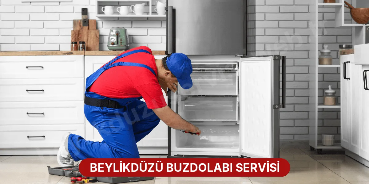 Beylikdüzü Buzdolabı Servisi