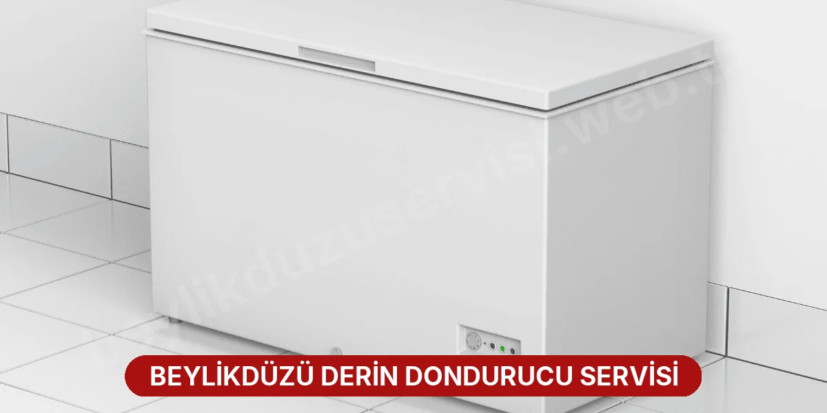 Beylikdüzü Derin Dondurucu Servisi