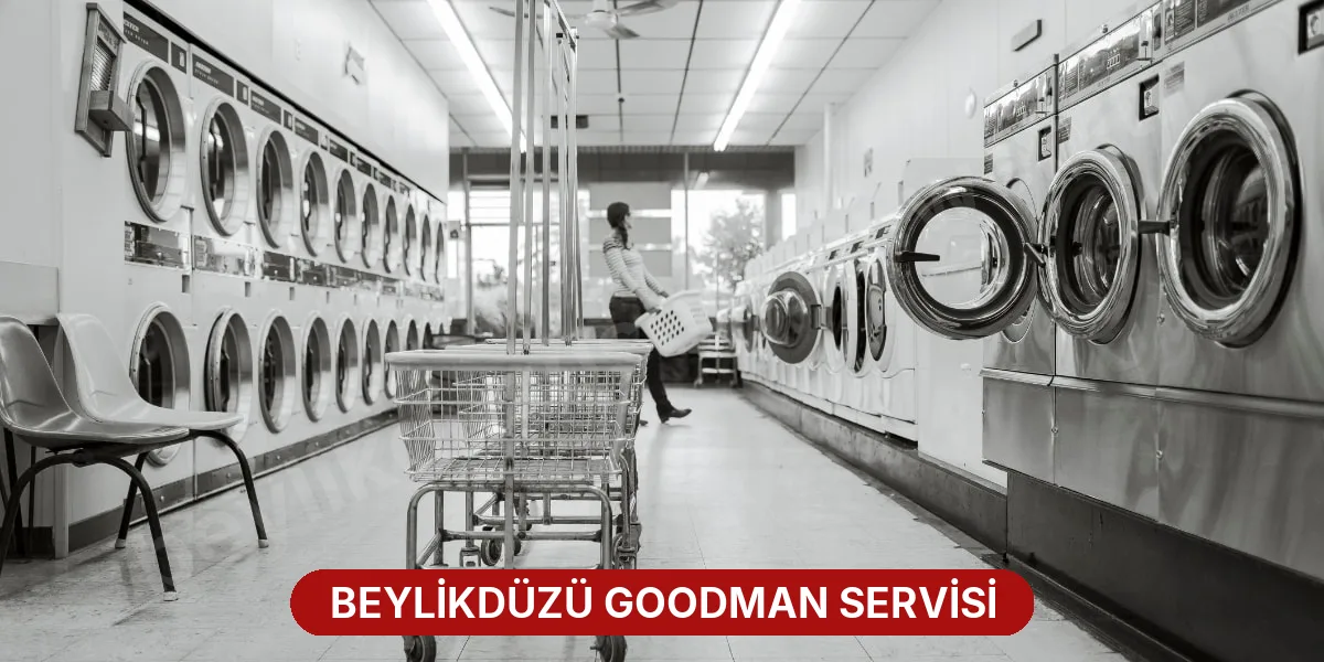 Beylikdüzü Goodman Servisi