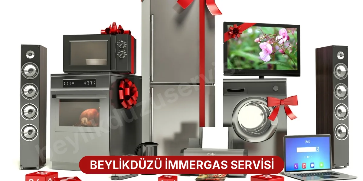 Beylikdüzü İmmergas Servisi