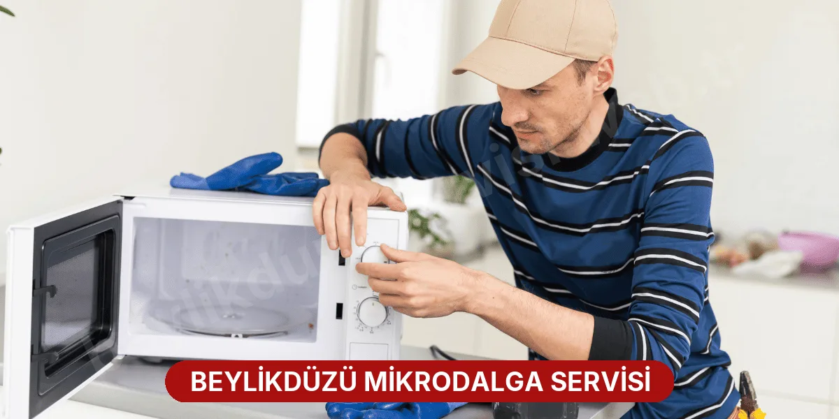 Beylikdüzü Mikrodalga Servisi